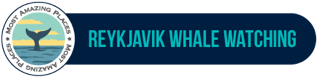 Reykjavik Whale Watching